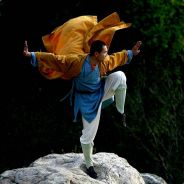 truongchiyeuly