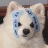 梦醒终究是浮云