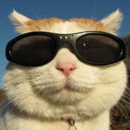 Captain Gato