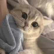 wulrl