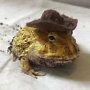 Phrõg