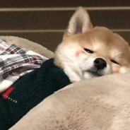 修勾吃屁汁儿