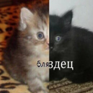 -Topo1evsky