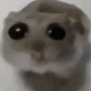 srydog