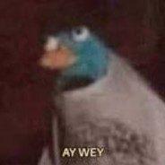 AY WEY
