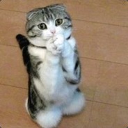 killercat