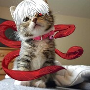 Arbidol