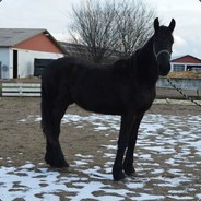slowtilter