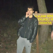 gemlik zeytini