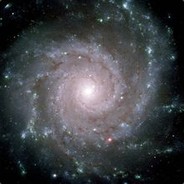 Star Colony