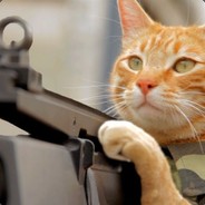 Mr.HellCat
