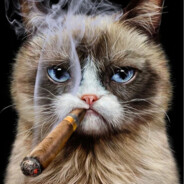 badcat211231