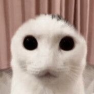 Skeeber Kat