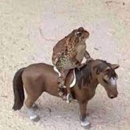 MagrinMATADOR