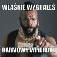 Kapi