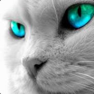 C.A.T/Youtube/Twitch/jpcatx