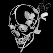 Dark+