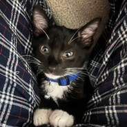 gary