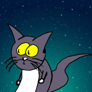 Kotek