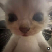 uWu