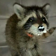 TrashKingRoth