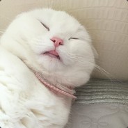 sadsadsad