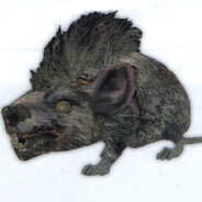 Rato de Moicano