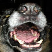 Lord Wolf