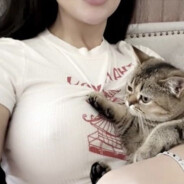 Dangerous CAT