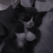 happy_cat