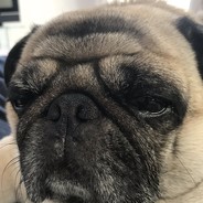 KnoiteLF
