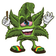 Juuri