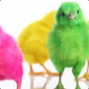 pollo