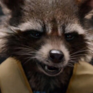 rocket raccoon