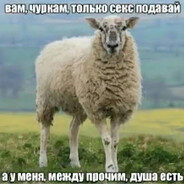 0 похвал 9 репорто