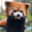 Group Avatar