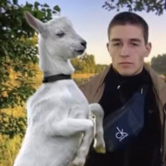 КОЗИЙ УГОДНИК