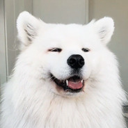 szymp1X