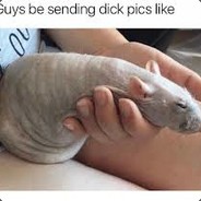 Dick Pick