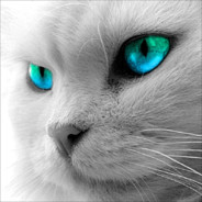 Ѣѐλӹй★Ҟоҭ