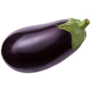Solanum melongena