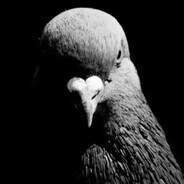 eloren