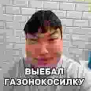 v3ll1as