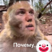 JAYOTAPEEK