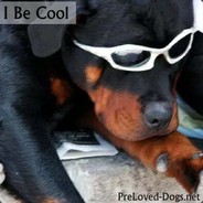 dogman hackerboi ♥♥♥♥♥♥♥♥♥♥.com