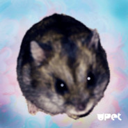 Bipipupu