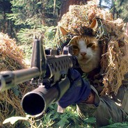 KillerKOT82