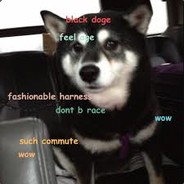 Steam Community Avatar