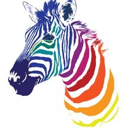 Bubblegum Zebra