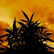ThC w mYch ŻyŁaCH